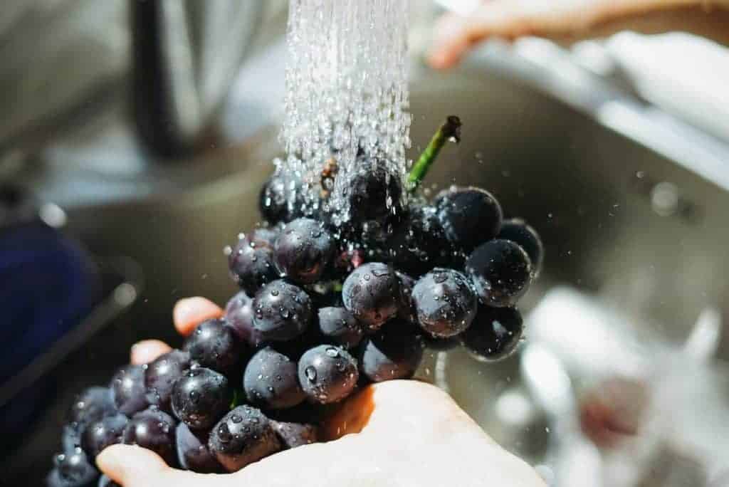 Hands rinsing grapes under running water